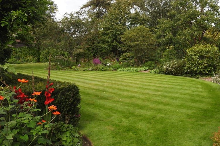 Garden at Church House, Trinity Hill, Medstead, July 2023.