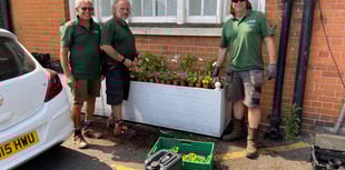 Farnham rolls out the red carpet for the In Bloom judges