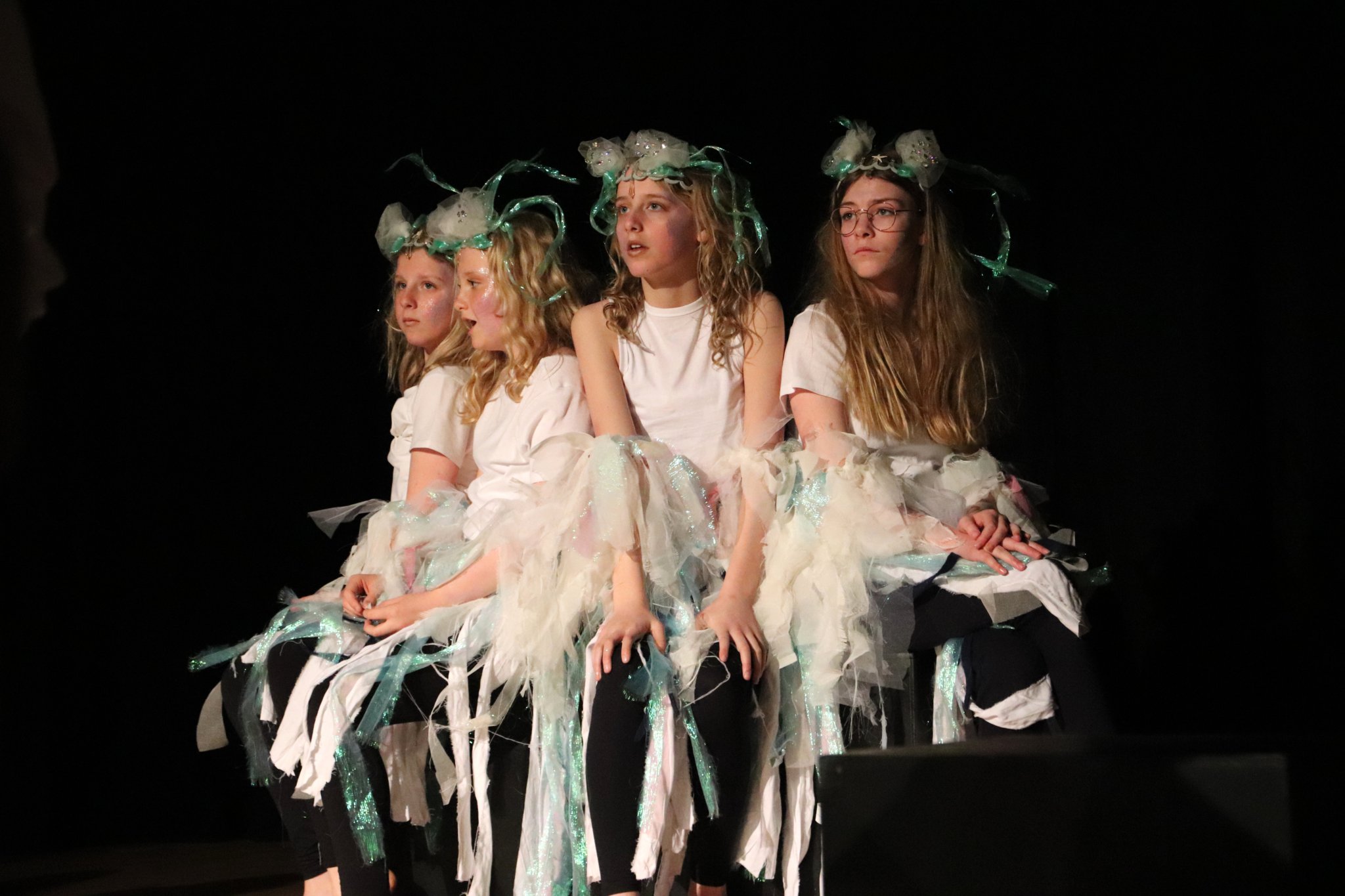 Liphook pupils at Highfield and Brookham Schools perform play