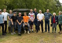 Volunteers help protect Lynchmere common from invasive bracken
