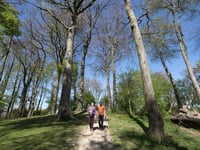 South Downs Way ranked among UK’s top long-distance hikes