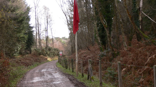 Longmoor Flag