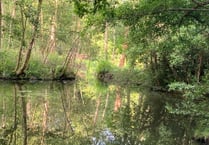 Water relief as major funding awarded to Bordon pond revival project