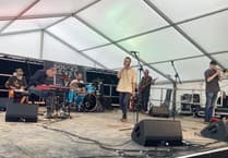 Sounds great as charity music festival comes to Liss pub