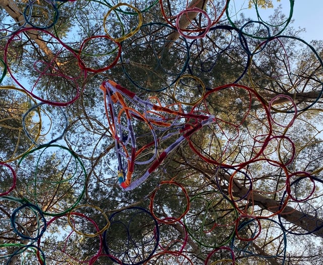 Creativity amidst nature: Heathland Artworks Trail at Farnham Heath