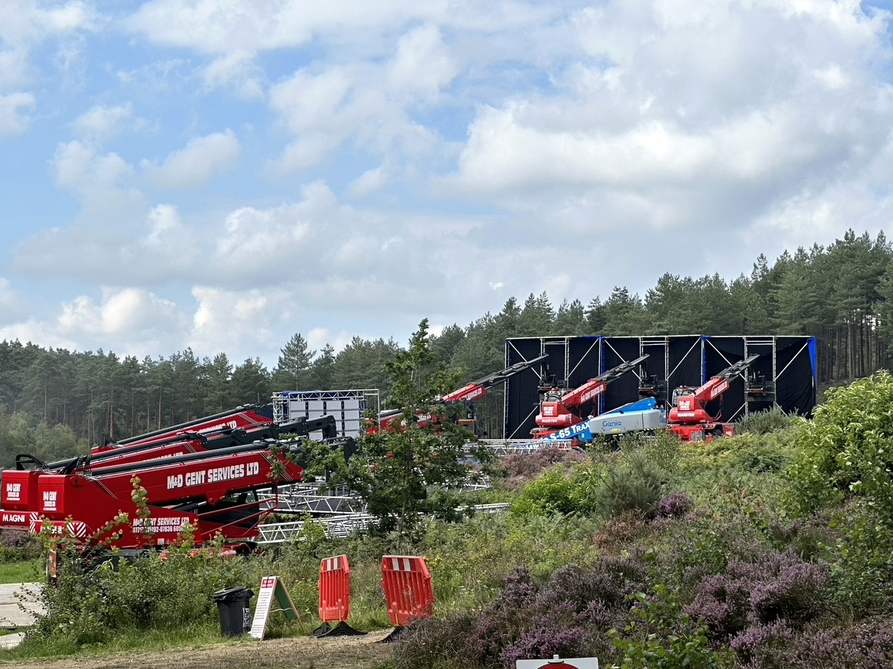 If you go down to Bourne Woods today – look out for dragons...
