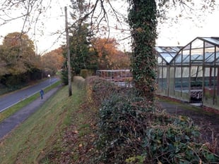 Appeal granted for 37 homes in Greatham