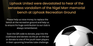 Fundraising underway to replace vandalised memorial bench 