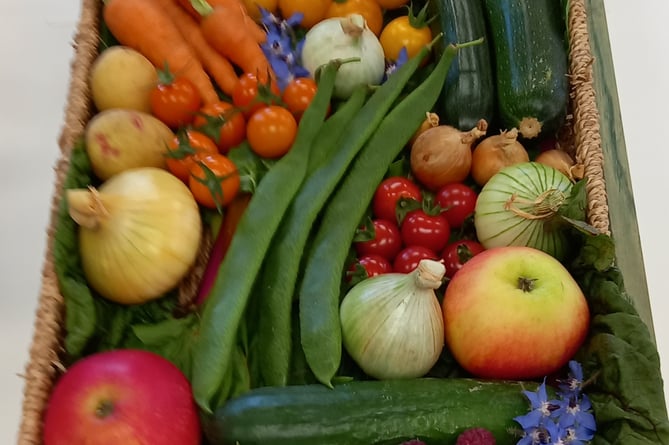 Fruit basket