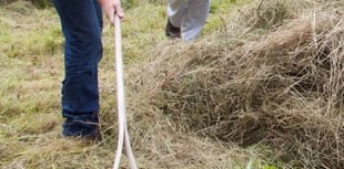 Make hay at Petersfield Community Orchard