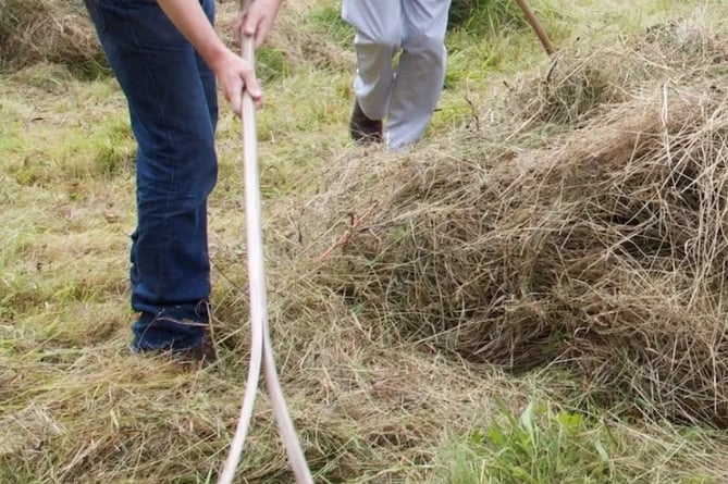 Hay Making