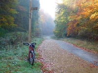 Mountain biking courses have been huge hit at country park