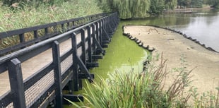 Calls for design rethink as new islands led to Heath Pond stink 
