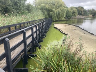 Calls for design rethink as new islands led to Heath Pond stink 