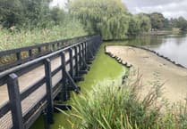 Calls for design rethink as new islands led to Heath Pond stink 