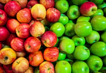 It's Apple Day at St Mark's in Upper Hale this Sunday – and all are invited!