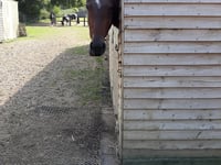 Meon Valley stable owner pays hefty price for ignoring planners