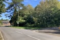 Council says 'no thanks' to Petersfield woodland transfer