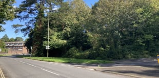 Council says 'no thanks' to Petersfield woodland transfer