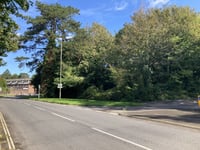 Council says 'no thanks' to Petersfield woodland transfer