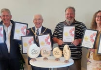 Farnham bags best-ever South and South East In Bloom results