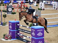 Bentworth show jumper Harry Charles has sights on Paris 2024 Olympics