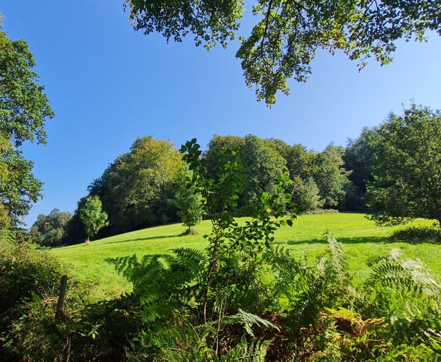 Campaigners vow to continue Red Court fight