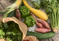 Weather can’t stop the chemical-free growing at Farnham Community Farm