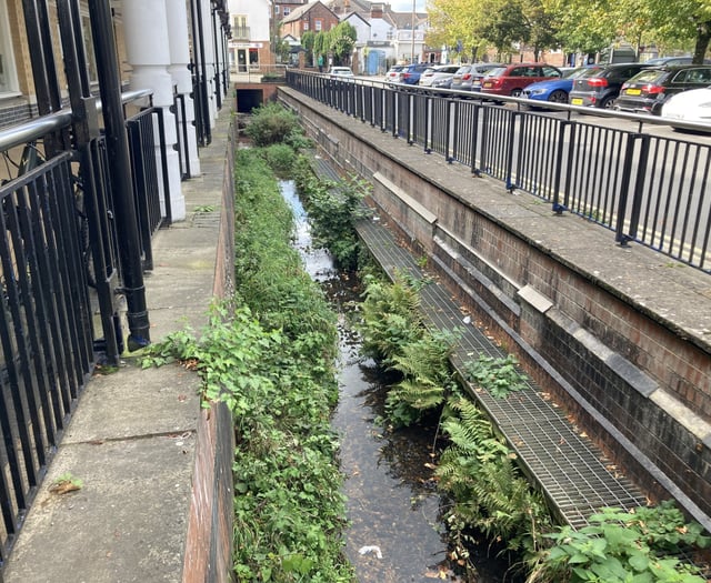 Calls to bring waterfall feature back to Petersfield shopping centre