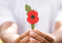 Plastic-free poppies to go on sale for the first time later this month