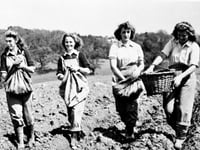 Wartime memories sought for 1940s twist on Shakespeare classic