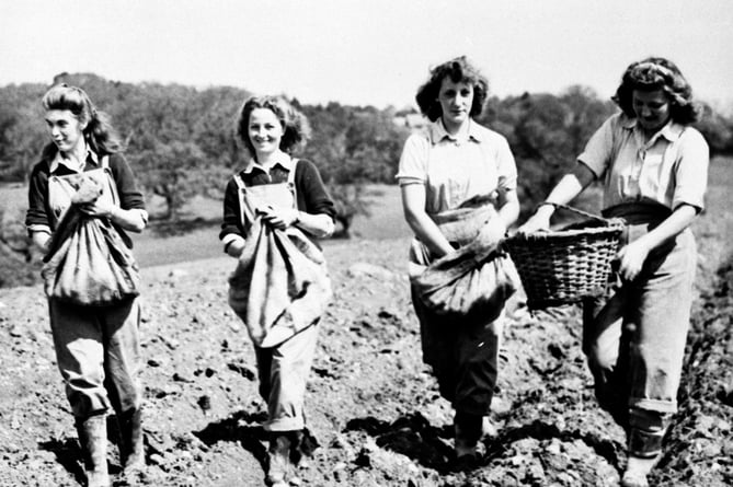 Members of the Women’s Land Army planting potatoes in Farnham Park during the Second World War