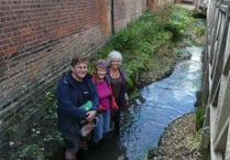 Alton sees fish return to urban section of River Wey