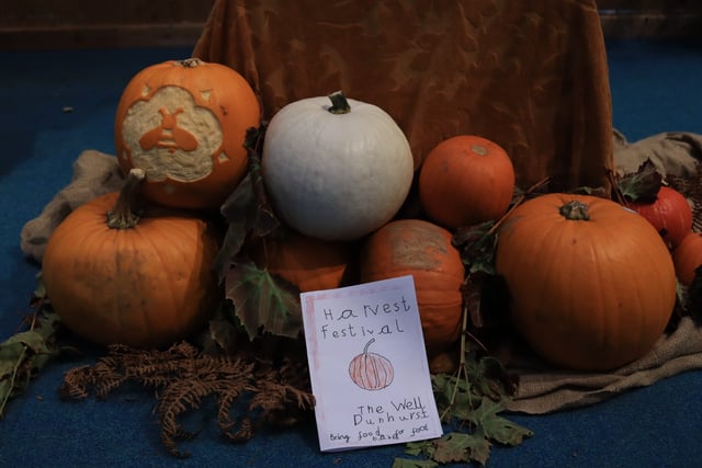 Bedales youngsters make harvest donation to Petersfield Food Bank