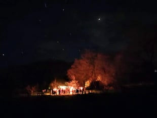 Join the Wassailing fun at Swan Barn Farm in Haslemere this January