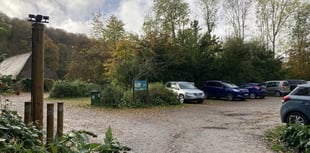 Numberplate camera is just the ticket at misused Selborne car park