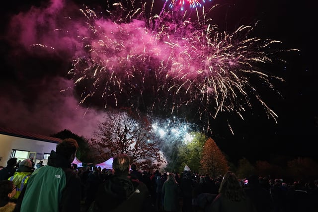 Haslemere Museum's fireworks night sparks big crowd and crucial funds