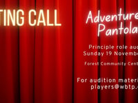Fancy treating the boards in 2024 Bordon panto? Oh yes you do...