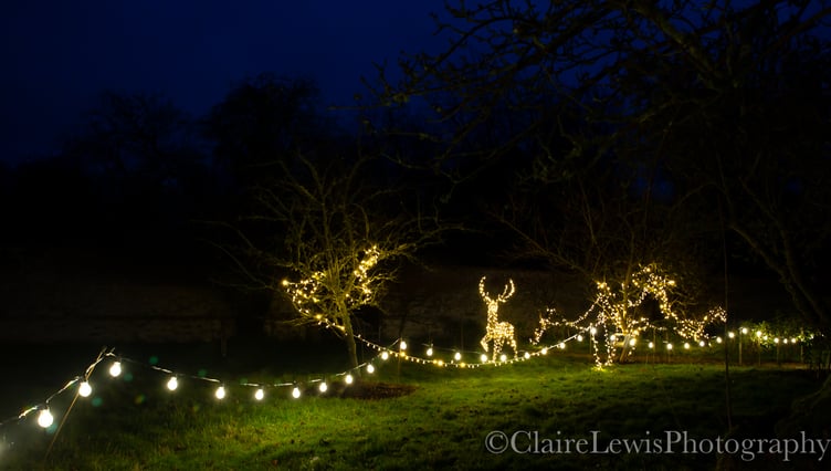 From December 18, Chawton House's gardens will be lit up and open to explorers from 3pm to 6.30pm each evening for its Glimmering Gardens display