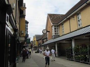 Police hunt pickpocket after incidents in Rams Walk