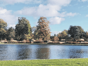 Surrey Hills music festival returns for 17th year