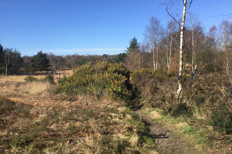 Yateley Common - close to the airport. See National story NNcommon; A defiant campaigner has won his battle with a former World War Two air base to protect the common land it sits on. RAF Hartfordbridge, which was home to D-Day bombers, was built on Yateley Common in Hampshire which has been common land since the 13th century. When the plot was de-requisitioned in 1960, war hero Air Vice Marshal Donald Bennett, leader of the famed "Pathfinder Force," bought it up and reopened the site as a private airfield. It has remained in private hands since but recently the current owners got its common land status revoked, giving them the right to expand the airport.