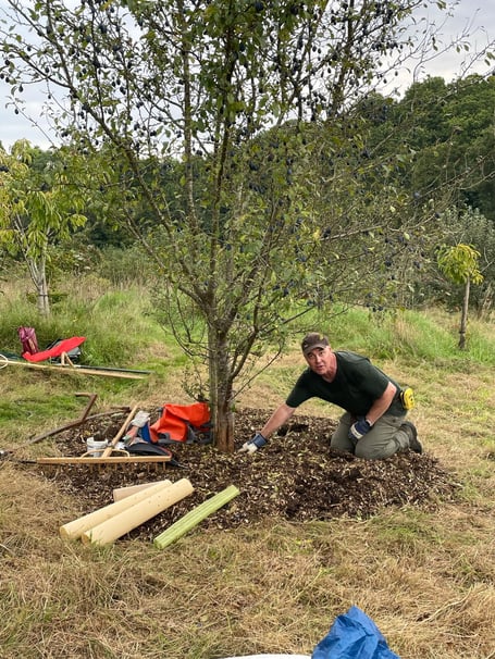 Tree Festival Planting Pic