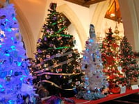 Christmas tree festival will turn Alton church into winter wonderland