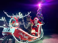 Christmas programme launched by Alton Lions Club