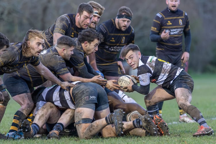 Scrum half Harry West secures the ball from the base of a ruck