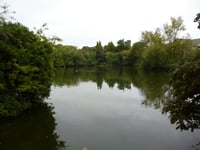 Big audience expected at Assembly Rooms for Kings Pond debate