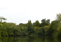 Biodiversity planning law change may fund work at Kings Pond in Alton
