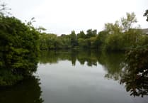 Pollution threatens chalk stream dream, says Kings Pond campaigner
