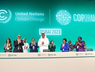 Opinion: What cheer can we take from COP28 agreement?